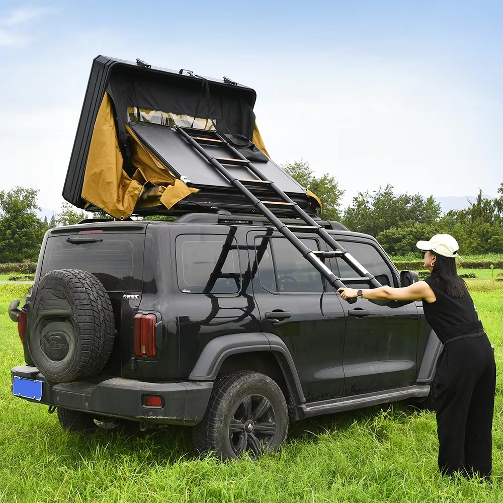 Outdoor 4 People Waterproof Po - Emergency Mylar Tent recension och pris